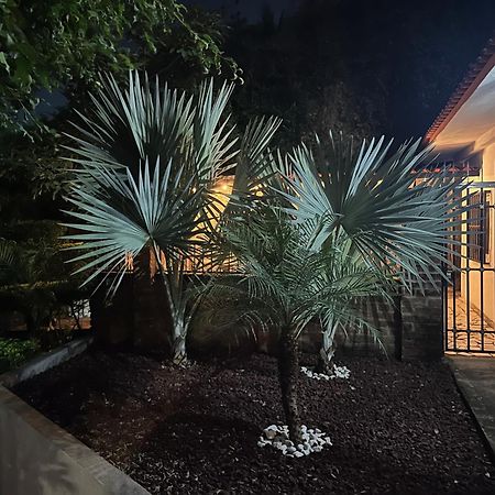Villa Palmier -Quiet Cosy Air Conditioned Terrace Puerto Vallarta Exterior photo