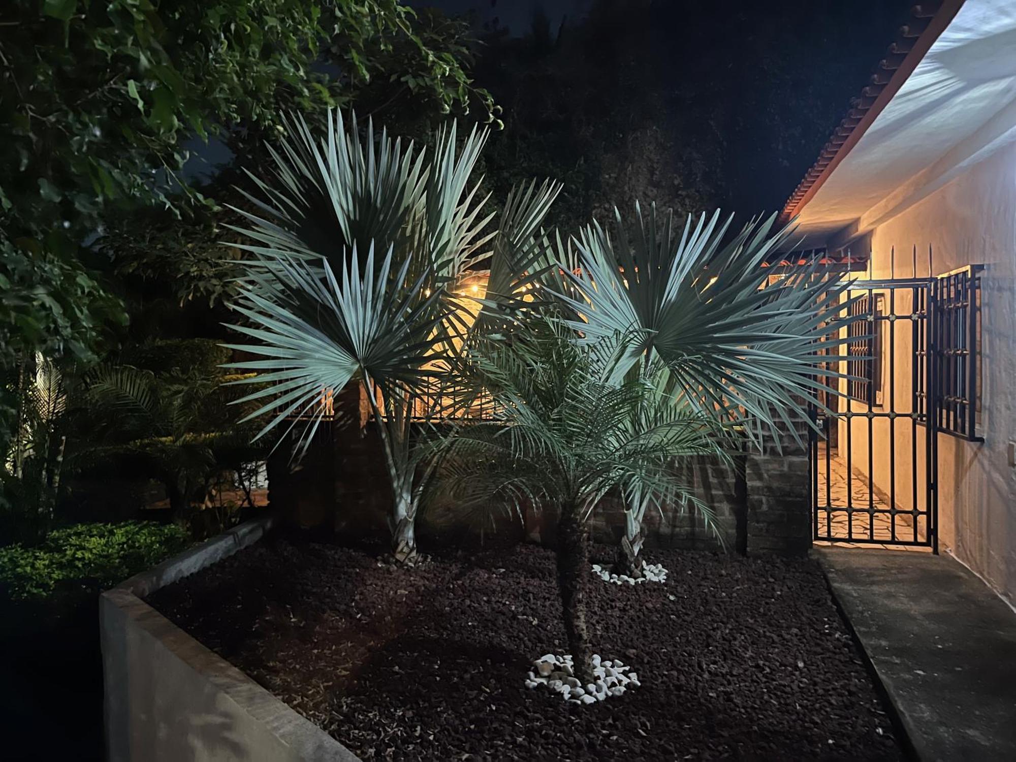 Villa Palmier -Quiet Cosy Air Conditioned Terrace Puerto Vallarta Exterior photo