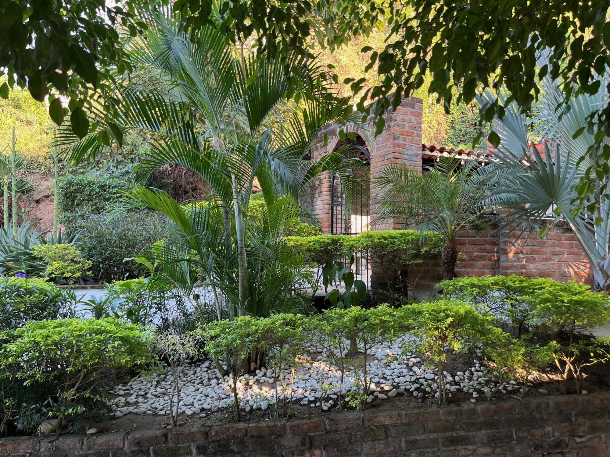 Villa Palmier -Quiet Cosy Air Conditioned Terrace Puerto Vallarta Exterior photo