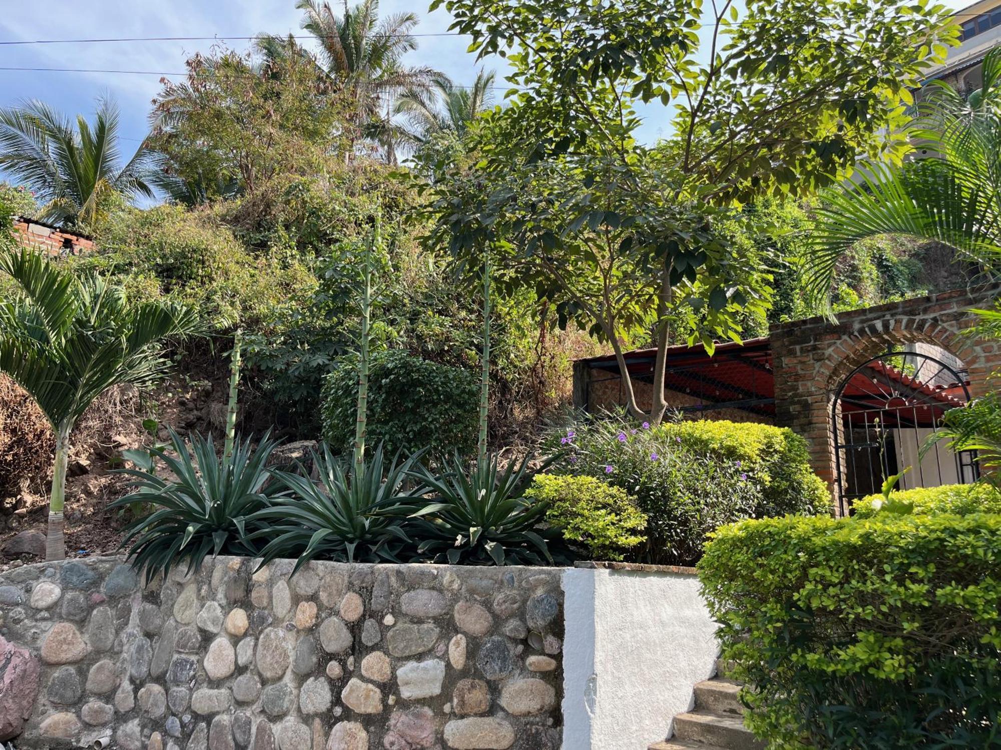 Villa Palmier -Quiet Cosy Air Conditioned Terrace Puerto Vallarta Exterior photo